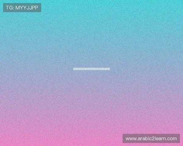 世界杯捷克队与南非队后防线详细分析与战术布局解析