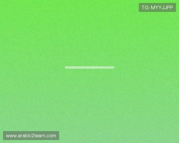 橙光游戏娱乐掌门人深入报道世界杯足球比赛中的明星球员表现与精彩瞬间